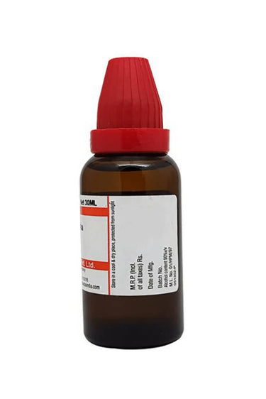 https://cdn.shopify.com/s/files/1/1857/6931/products/IzQ1mHd1RO.jpg?v=1634197703